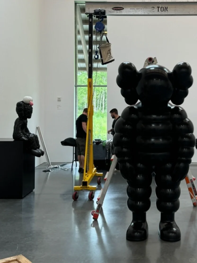 ✖️KAWS✖️在纽约❗️❗️