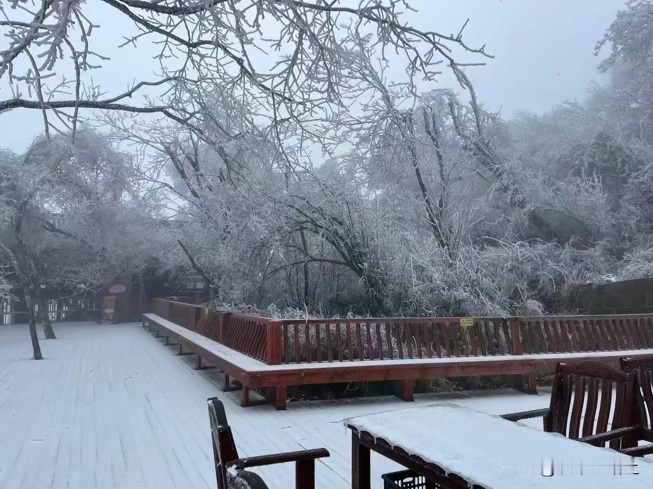 汉中龙头山迎来今冬第一场雪(来源:汉中龙头山汉中龙🐉头山 )