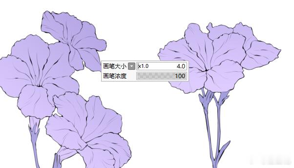 蓝花草（为什么用紫色） 