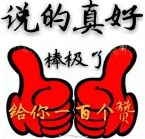 让我们共筑繁荣昌盛的社会，和谐而又美好。