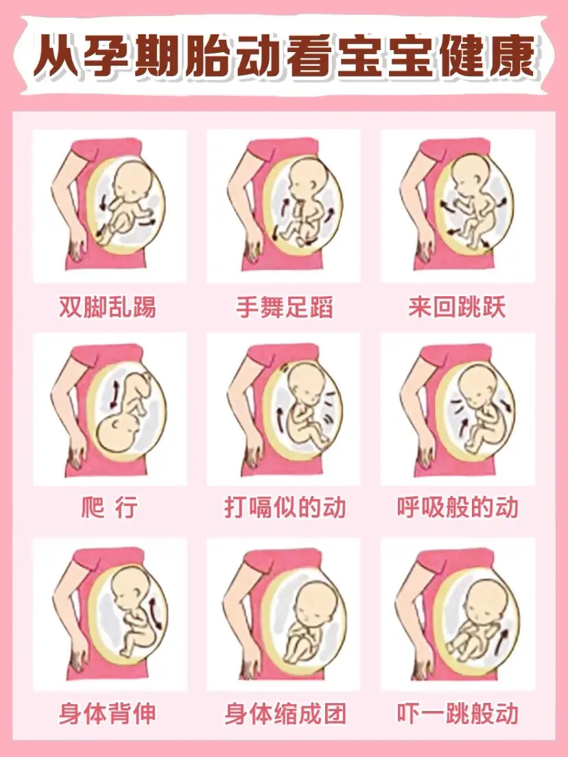 教姐妹们看胎动数胎动，记得保持收藏哦，专门做的图集