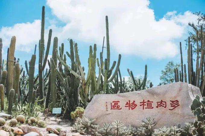 上联：碧空如洗，万株植植生灵
下联：[爆竹][爆竹][爆竹][爆竹][爆竹][爆