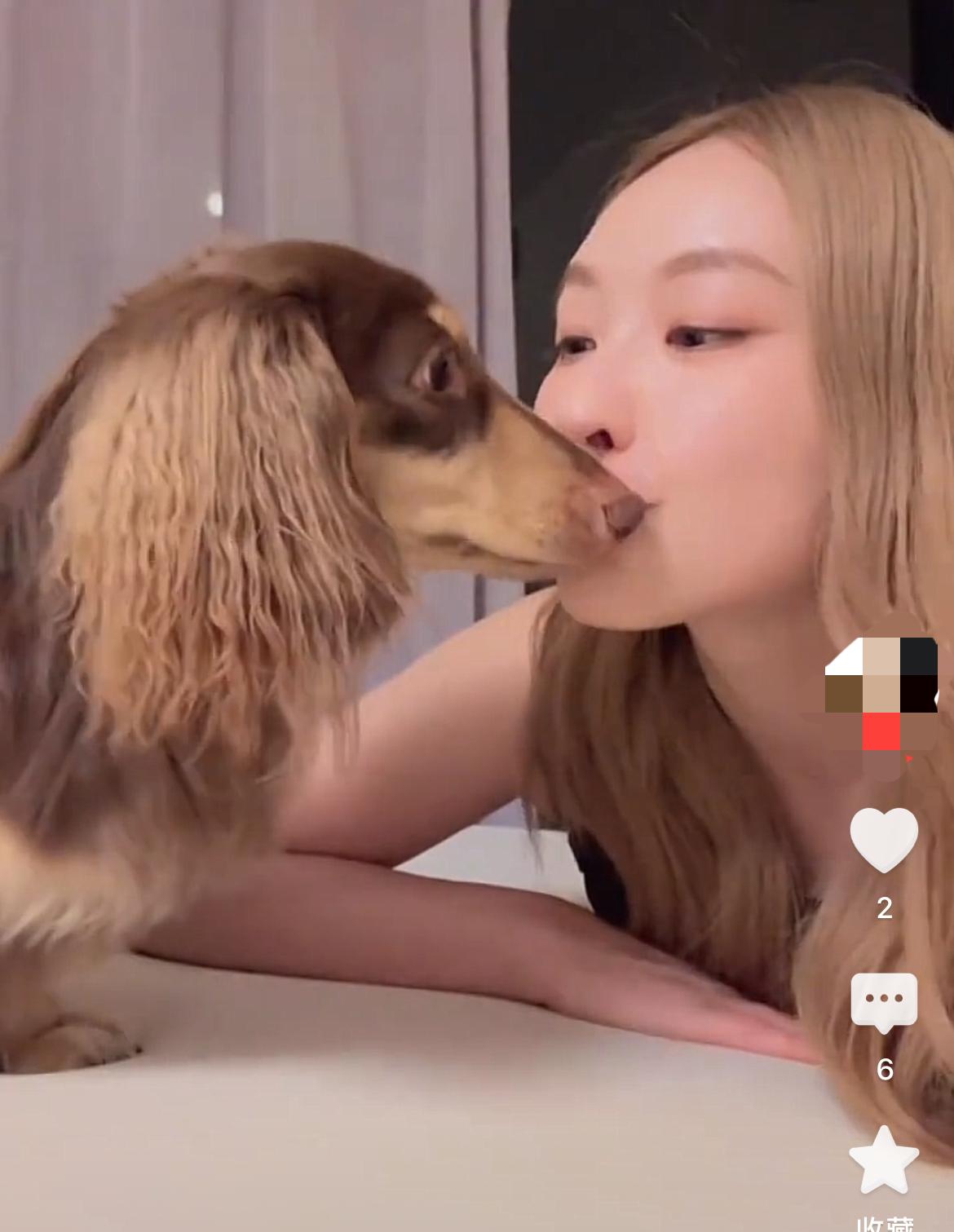 刷到港圈女演员陈滢分享的日常片段，

她竟然直接把脸凑过去和自家的小狗嘴对嘴亲了
