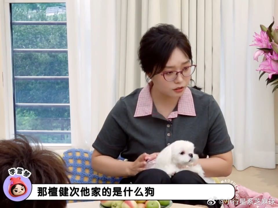 檀健次李一桐的狗拜把子了檀健次李一桐的狗是好朋狗毛雪汪 片场萌宠相处氛围感很足。