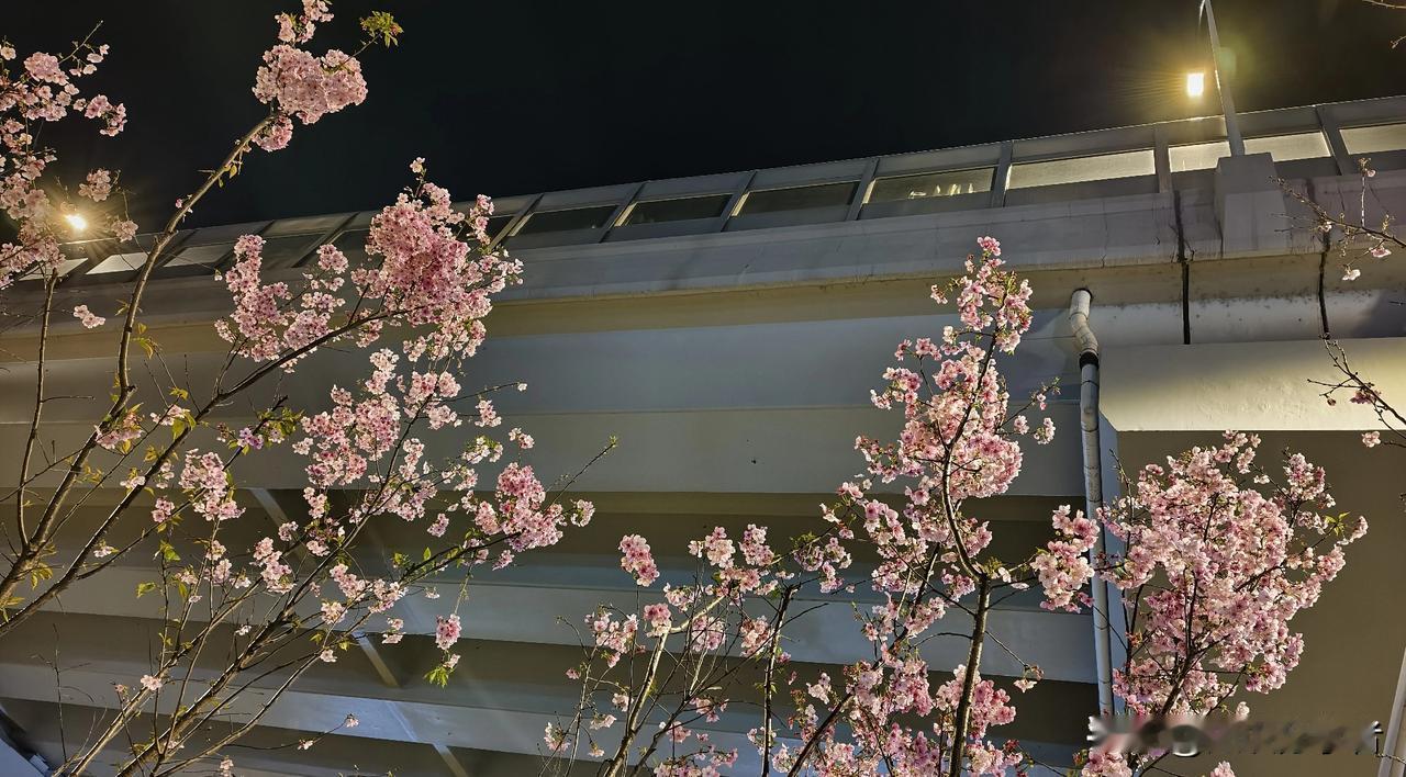 为什么现在的年轻人，越来越不想结婚了？
 
不是不爱，是不敢、不愿、不能。
 