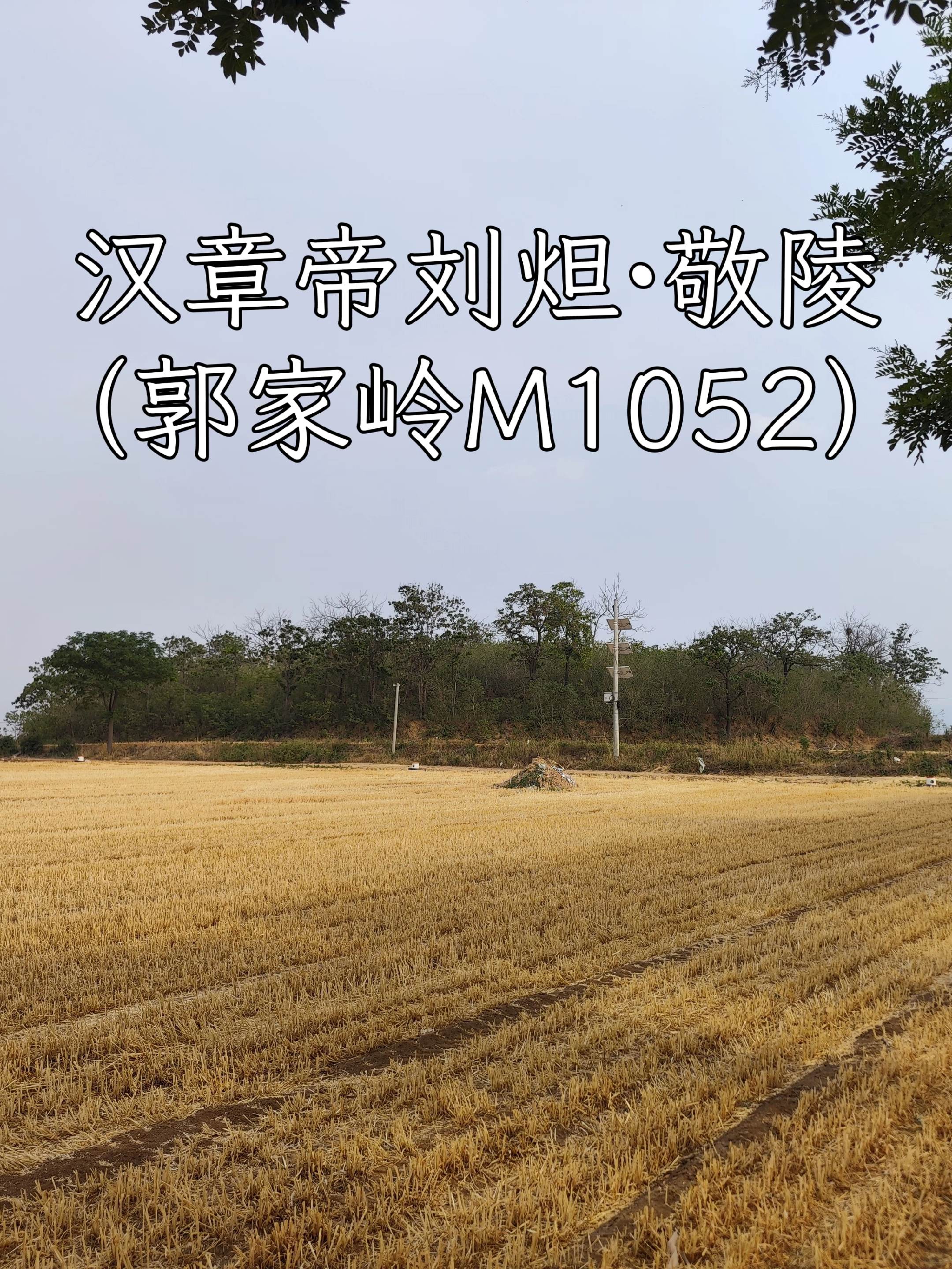 汉章帝刘炟·敬陵（郭家岭M1052）根据史籍记载，章帝敬陵也随同其父汉...