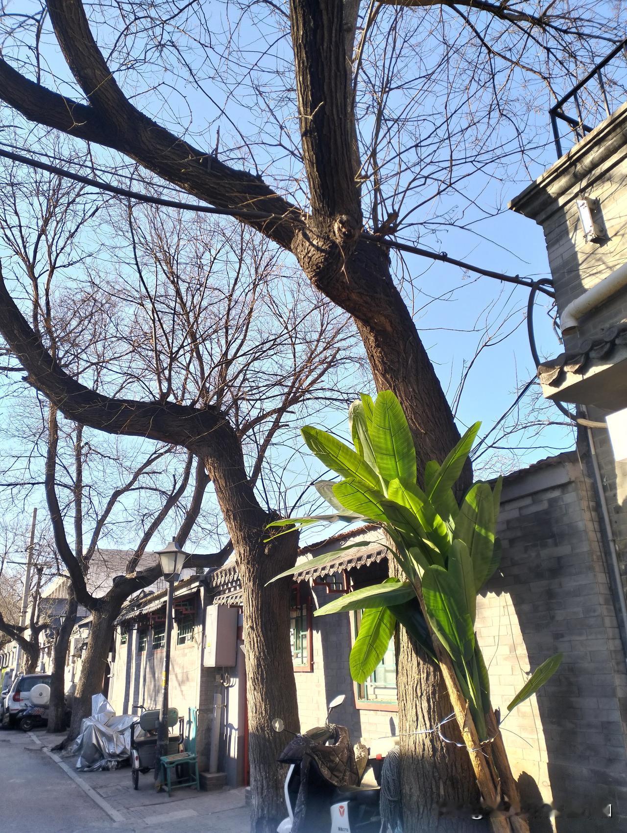 为什么还有人喜欢吃西贝人傻钱不多