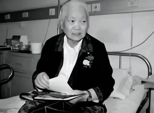 1994年，退休的苗玉得知自己竟是烈士陈乔年留存于世的唯一血脉。这个真相，她等了