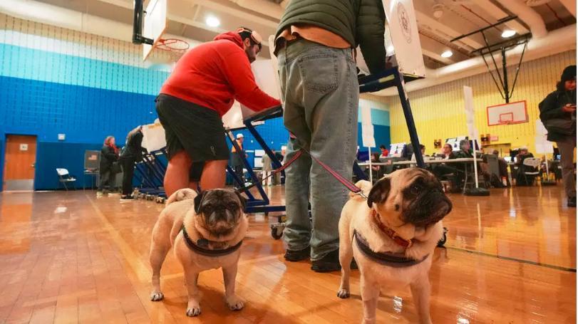 美国地方选举：局外人马姆达尼成为纽约市长热门人选 特朗普呼吁票投科莫

美国周二