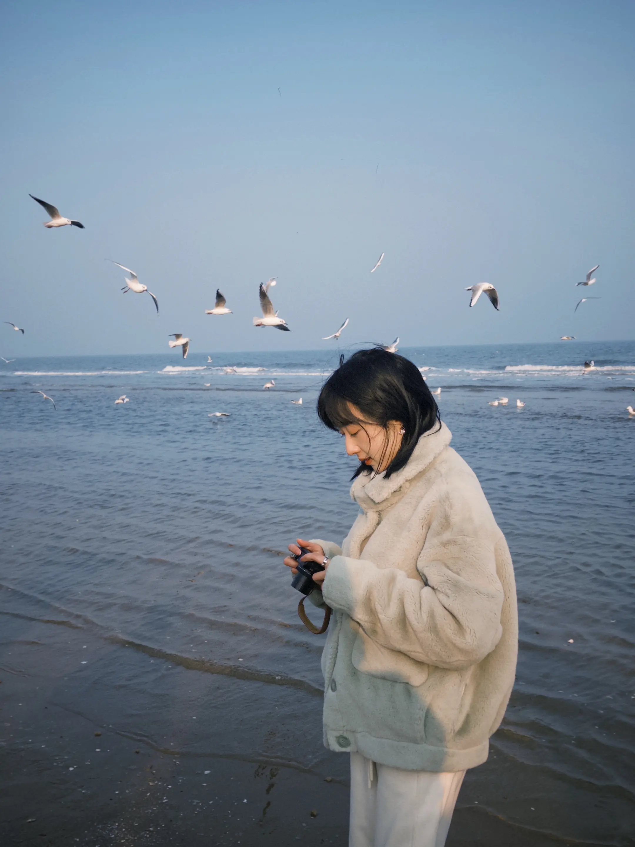 阿那亚的明信片