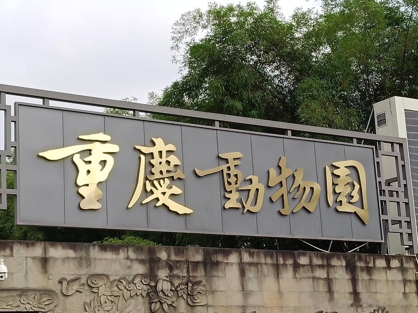 渝可渝爱小五小月亮！我来啦！