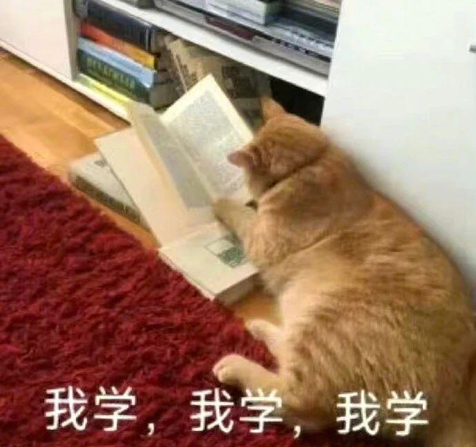 人生回报率最高的48件事1.每周见 3 位朋友好朋友能给你力量(也可以是亲人、爱