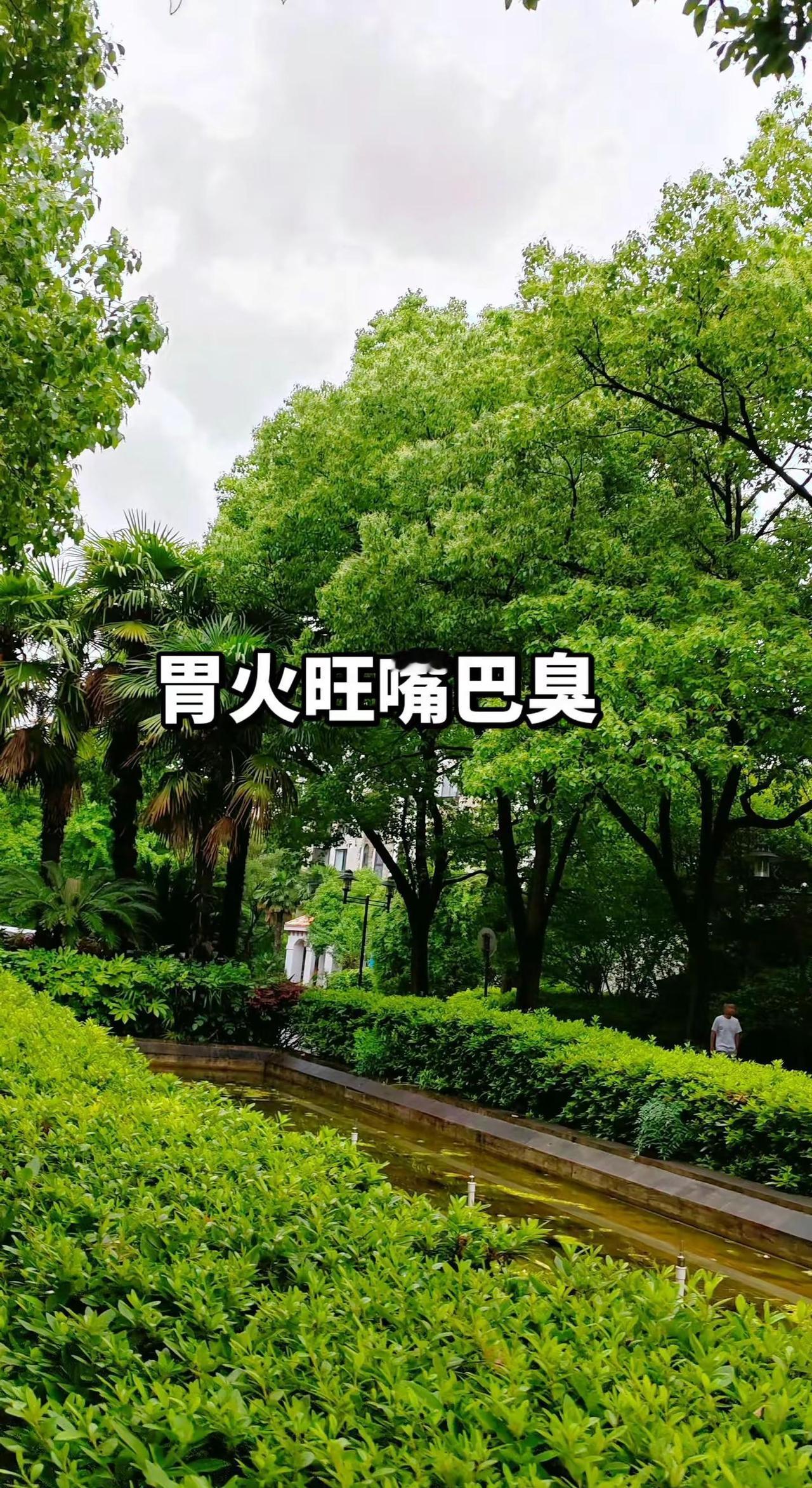 2026伦敦世乒赛女团中韩对决名场面来袭！孙颖莎身陷绝境之下连追10分完成史诗级