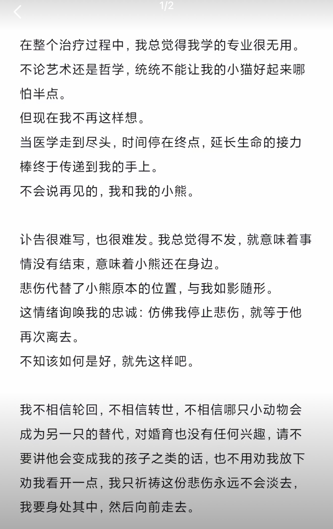 “如果祈祷真的有用，我们竟然祈祷悲伤不要放过自己”看到一个宠物博主写给自己去世猫