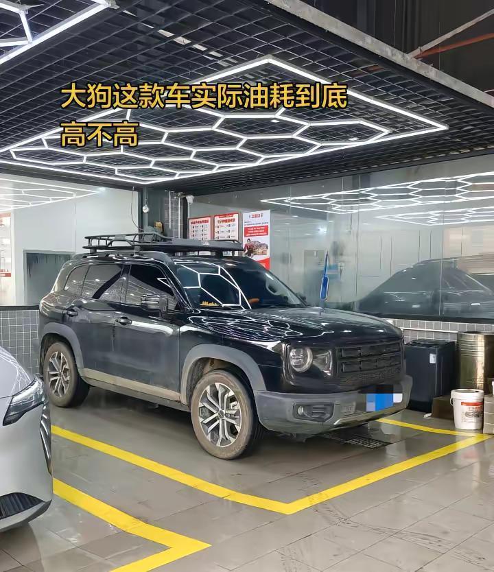 大狗这款车实际油耗到底高不高哈弗大狗