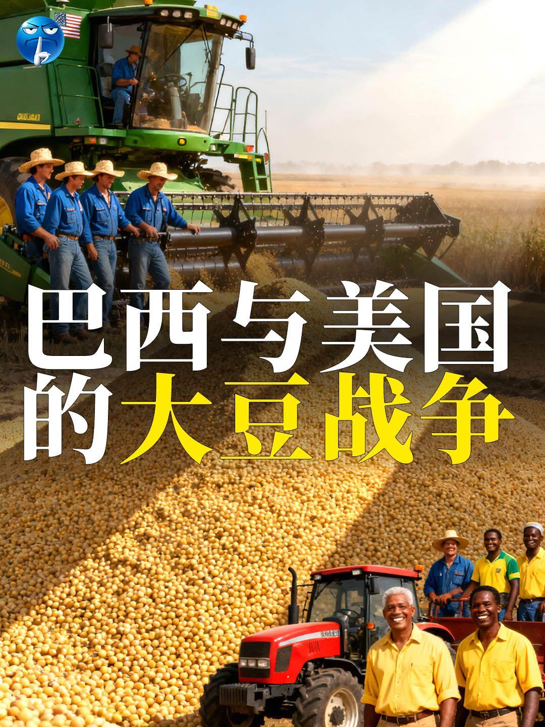 巴西与美国的大豆战争。美国大豆协会说：今年5月之后，中国就没再买过一颗美国大豆。