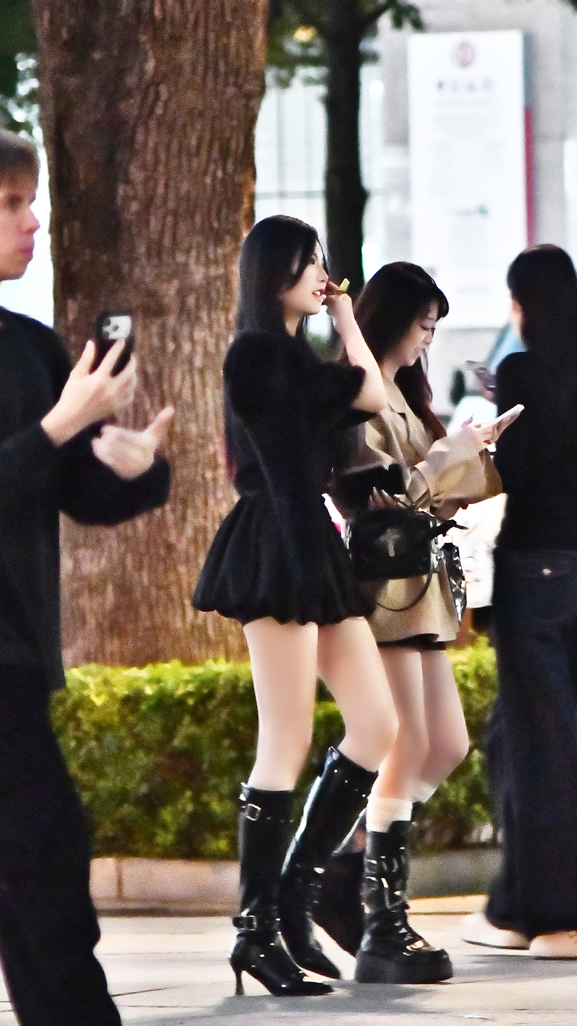 分享图片 ​​​