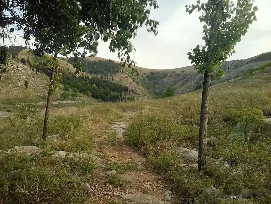 男人为什么回老家，因为老家的地下埋着祖宗，地上留着自己的童年。有人说女人见过繁华