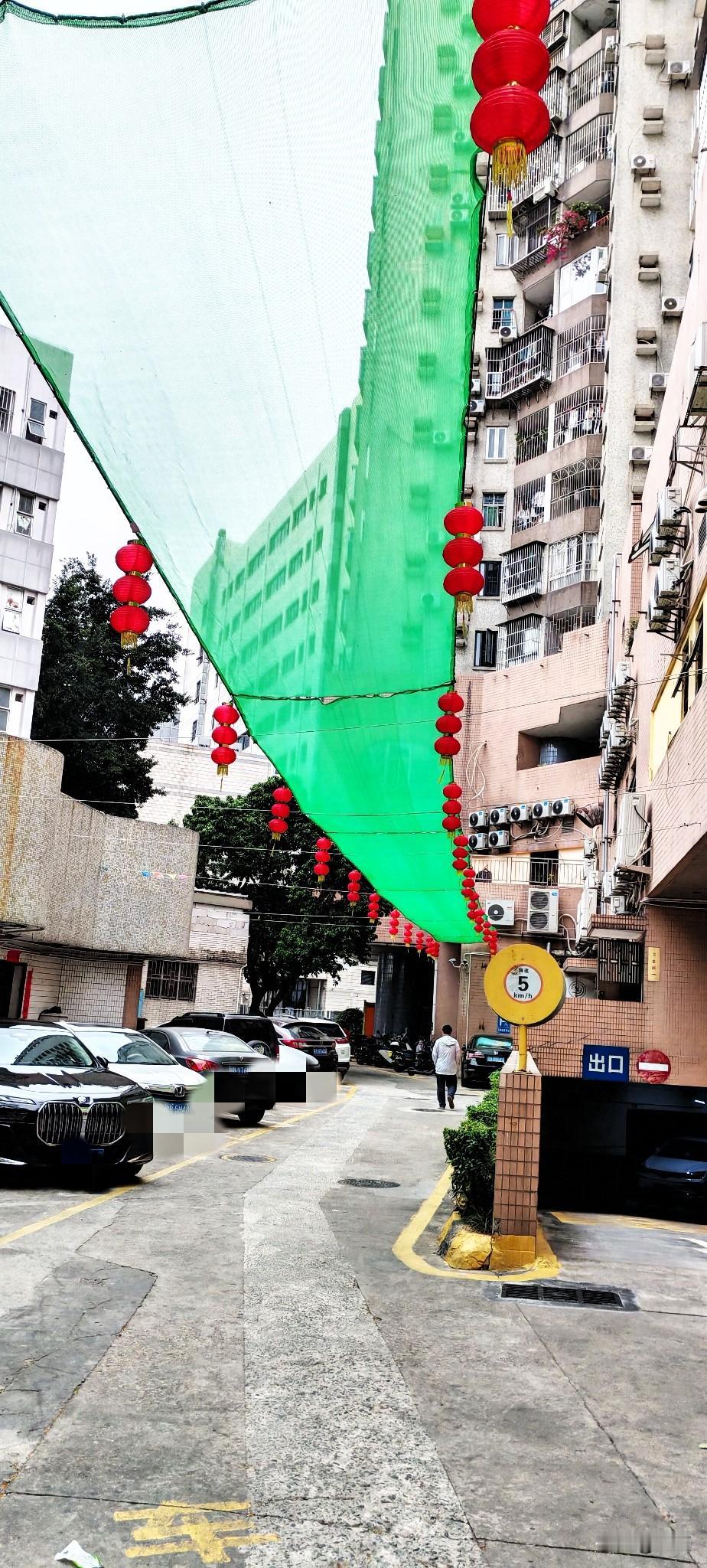 今天下楼取快递，发现小区里已经开始挂灯笼了，这不太早了吗？还有二十多天呢，提前半