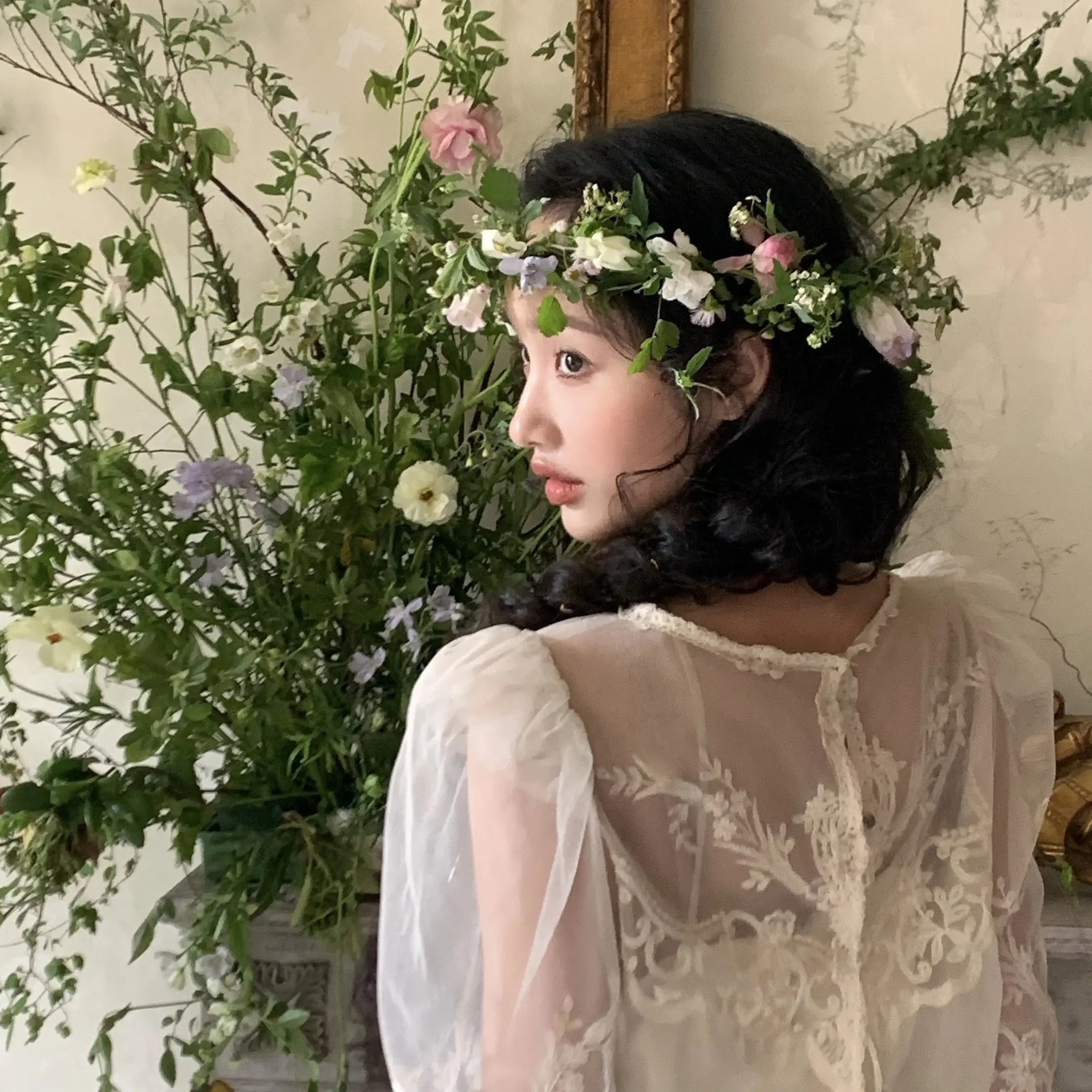 凌晨四点我看见海棠花未眠。