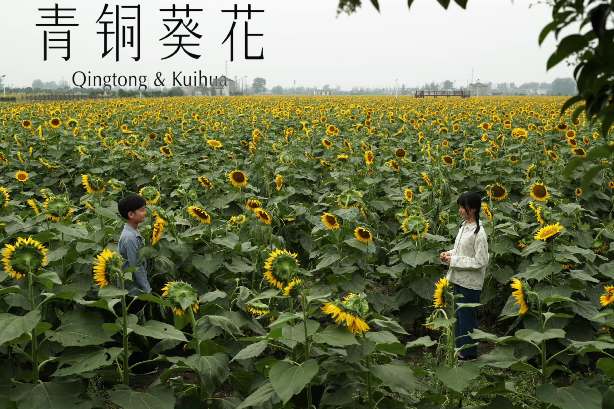 童言童语点亮金鸡奖！张宇轩的“好导演=让吃好喝好”，韩陌的“还要拍陈导戏”，让人