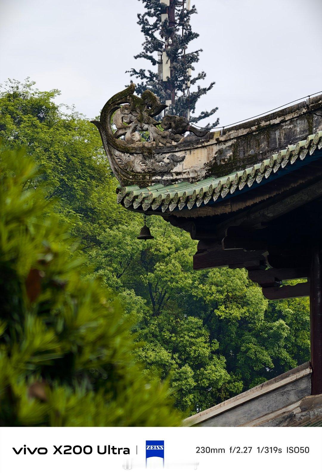 “本来无一物，何处惹尘埃？”原来出自六祖慧能偈语。听说立夏有雨，今年的收成会很好
