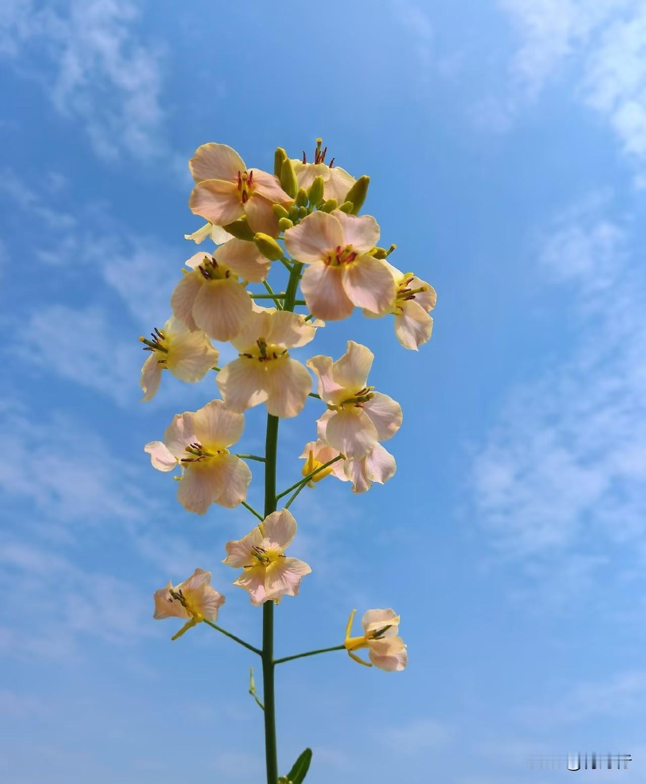 人大多是在走投无路时，
被最信任的人伤害时，
生一场大病时，
失去重要的人后，