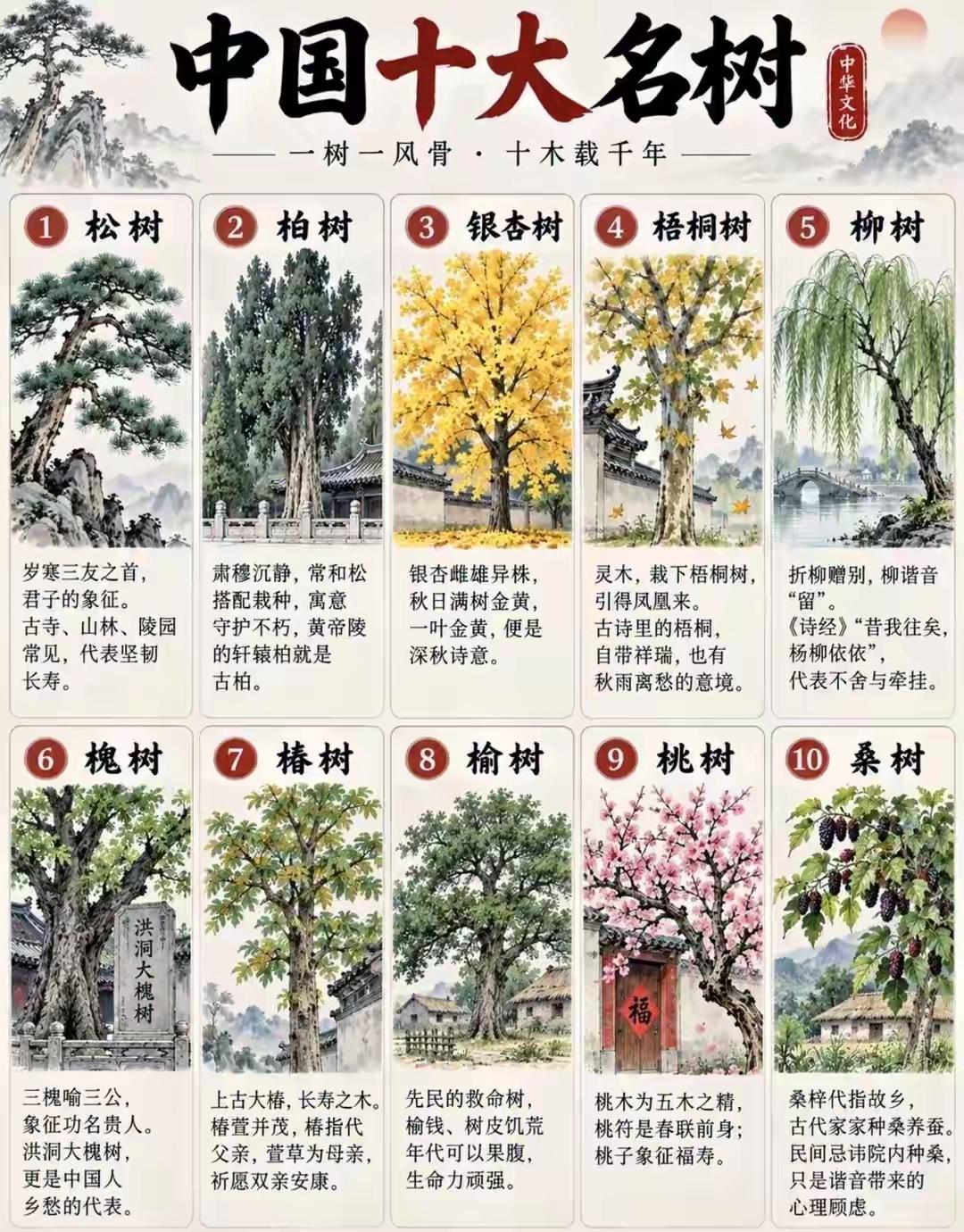 名树