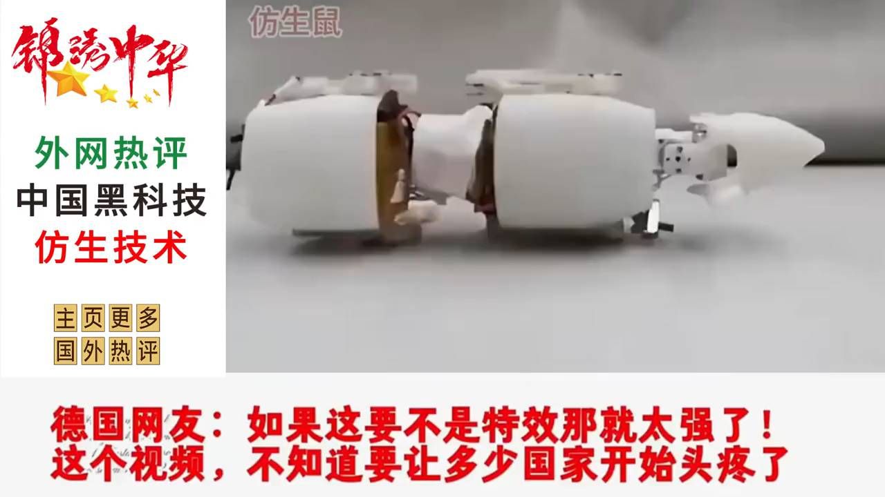 揭秘中国黑科技！仿生机器人震撼亮相！🤖💥