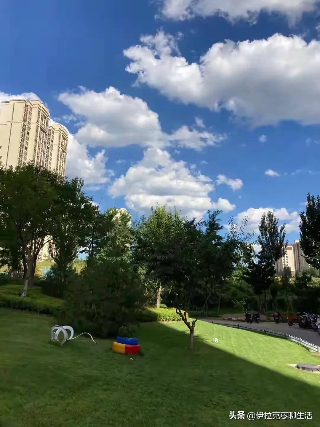 我8岁就订婚了，订的是娃娃亲[捂脸][捂脸][捂脸]

今天和一个老乡姐聊天，说