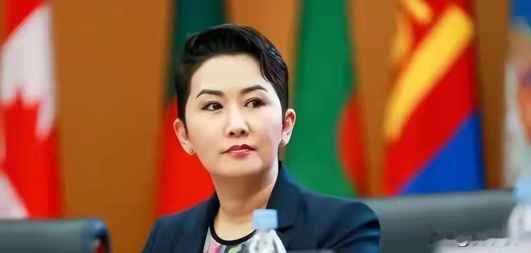 蒙古要向日本出口稀土
2026年6月9日，蒙古国外长巴特策策格访问日本，与日本外