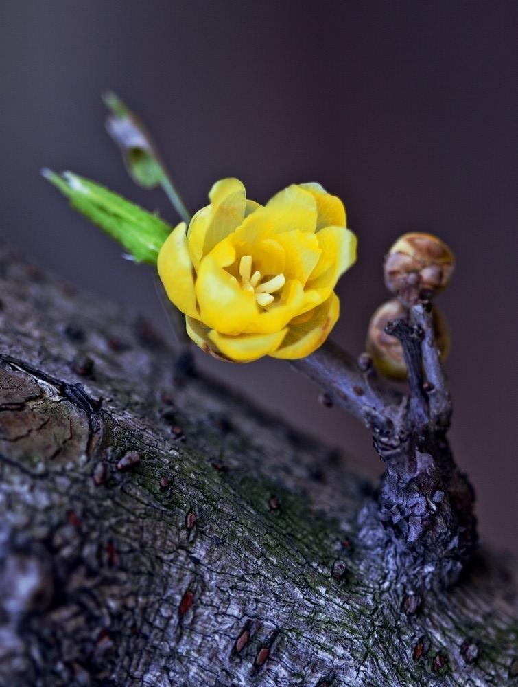 周一盘后，芯片领域再度传来重大利好消息，而盘中的一个现象却值得我们警惕！
周一盘