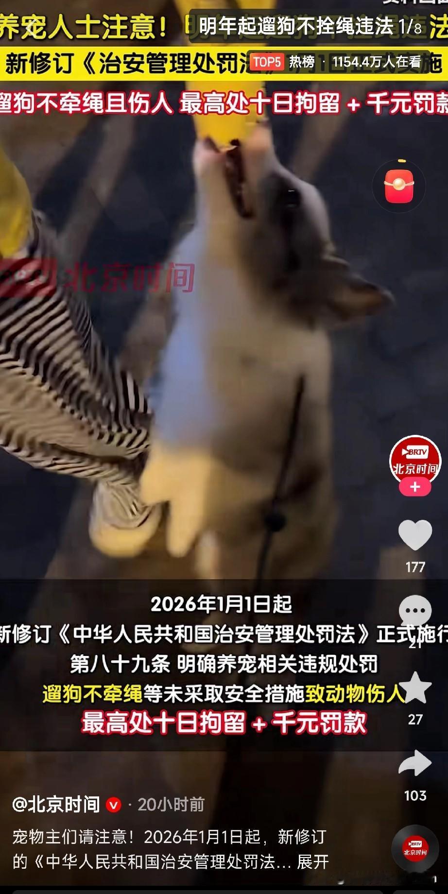 各位友友们注意啦！
养宠规矩有重大变化！

2026年1月1日起，新版《治安管理