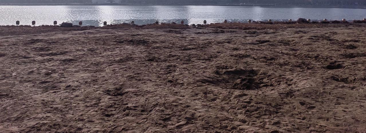 郭有才讲《道德经》，不是不该，不是不可以。再创作一个《新道德经》都没问题，法无禁