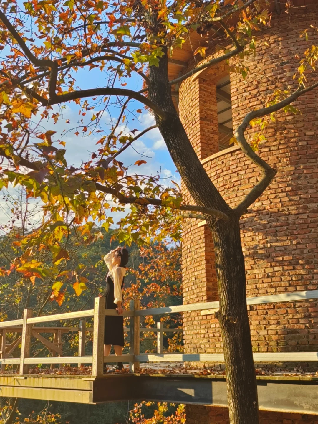 去了88次杭州，还是最喜欢这里🤩......