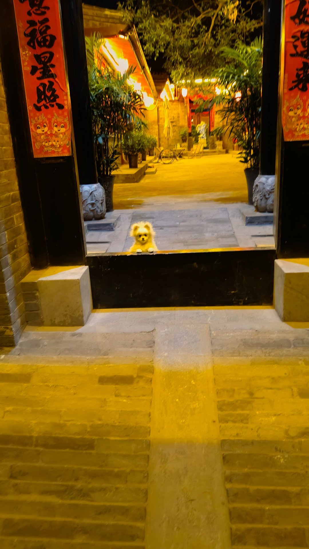 铁腚的一天，被自己蠢哭了，从合肥出发，坐了将近8小时的高铁，经历了20分钟极限换