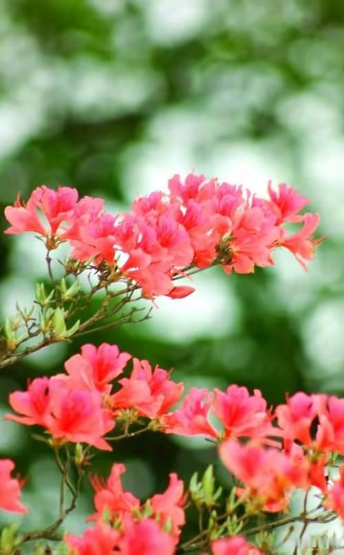 低层次的人爱较劲，高层次的人懂认命
 
1. 低层次较劲：争输赢、辩对错、耗情绪