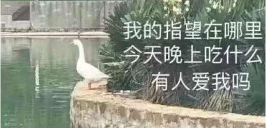 三线城市的能源国企，上9休1，每周都有夜班，月薪1万+包吃住，你愿意吗？
这是我