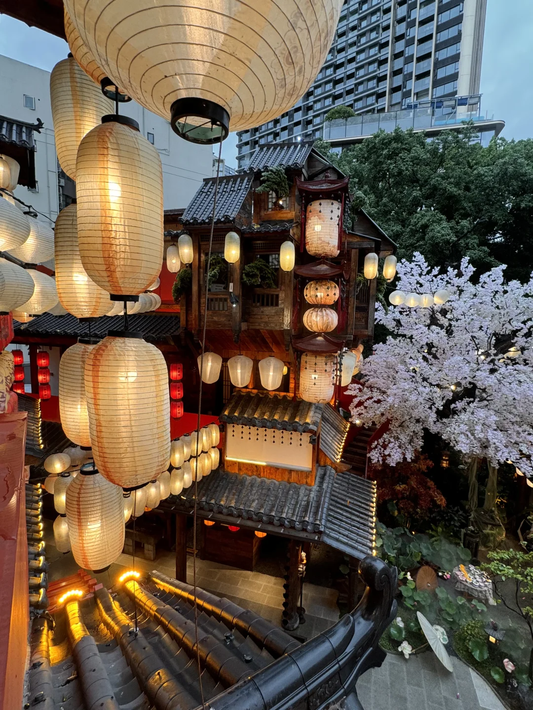 不在京都！！真的在深圳！！！
