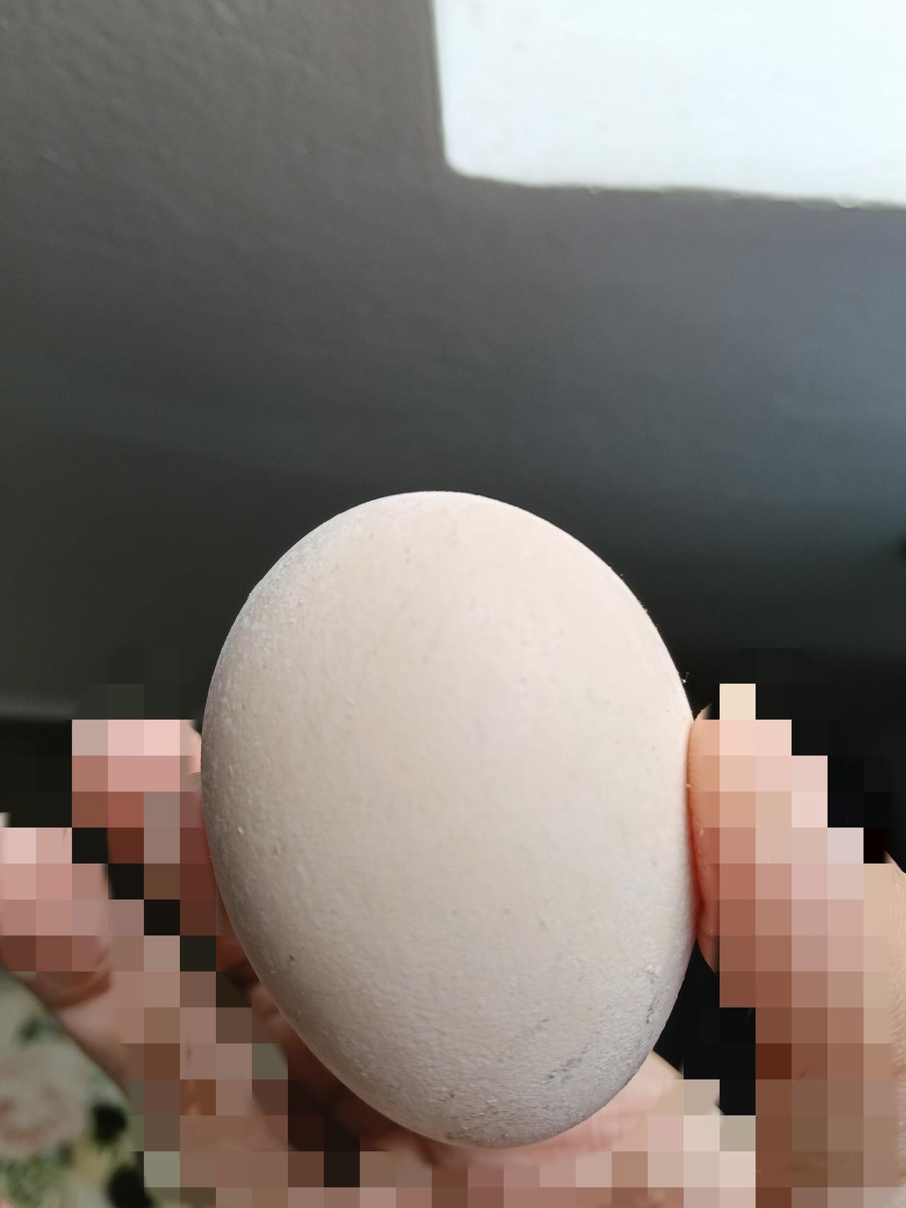 妈妈给的鸡蛋被我不小心放坏了，蛋液沁在地板上，我的心很痛，28个
