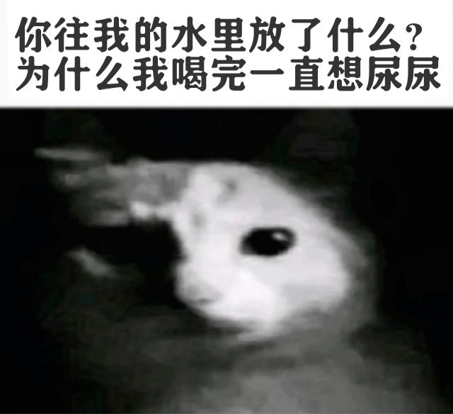 生活很简单，我喝水然后尿尿。meme