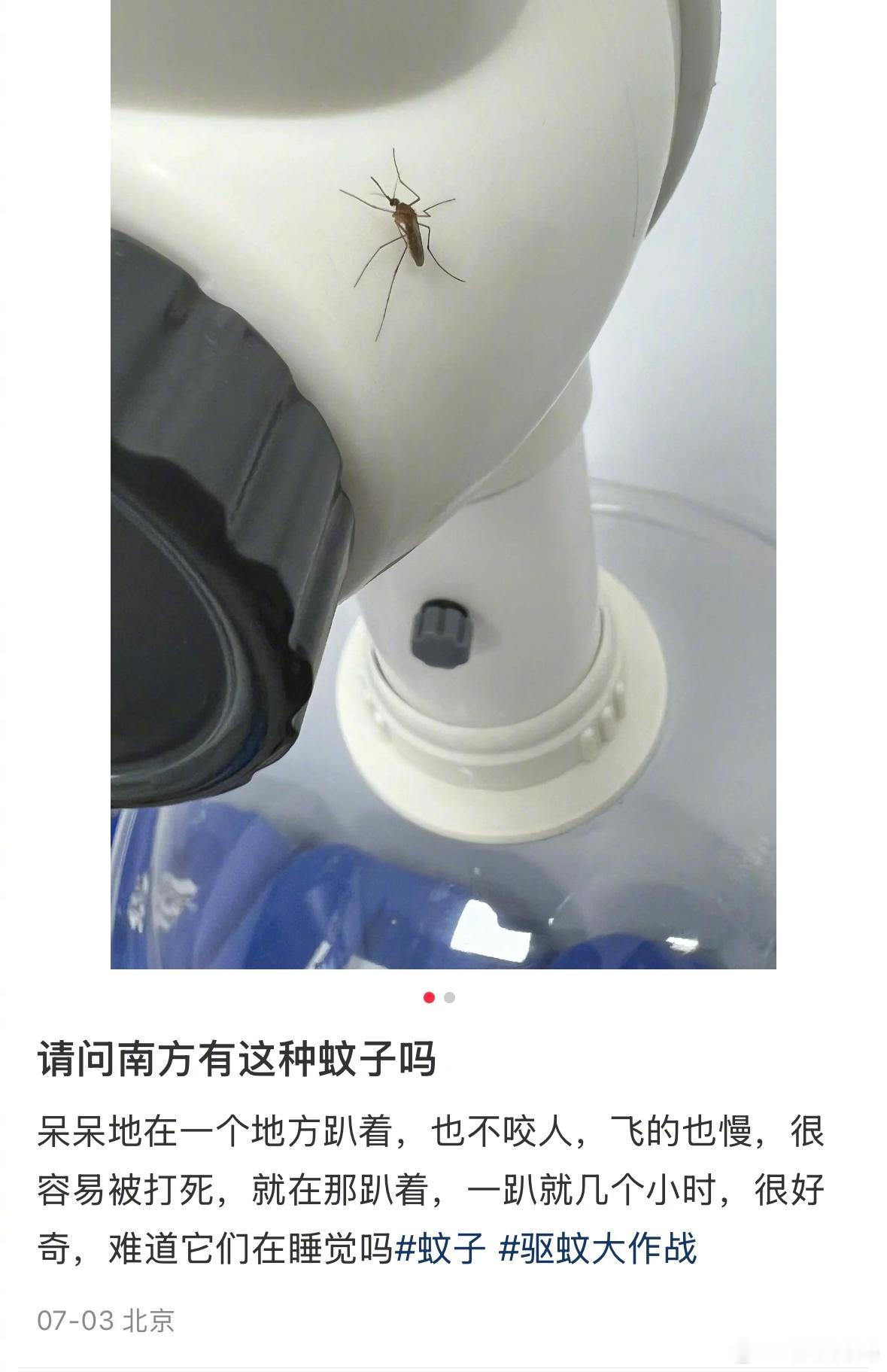 还以为是自己听力退化了，原来是蚊子进化了[哆啦A梦害怕] ​​​
