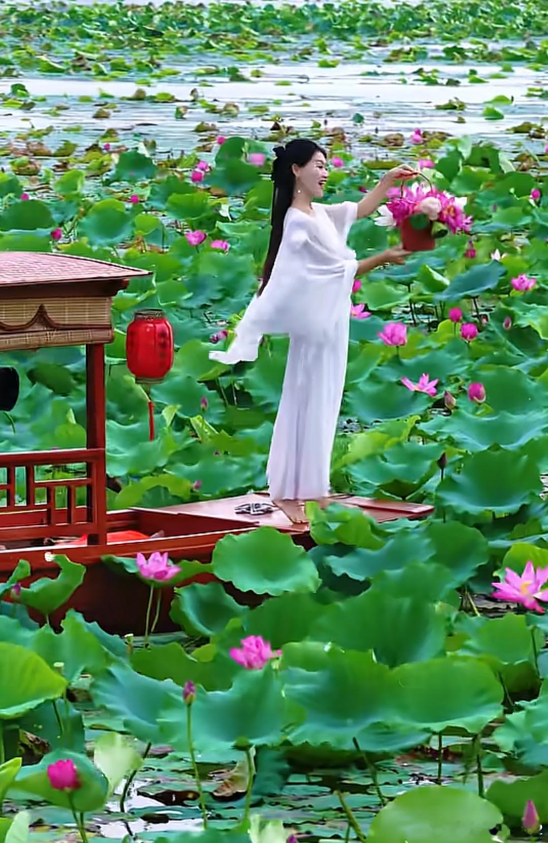 洋洋高锐·美好誓言◎八月离秋心绪……绵绵◎“荷”你相遇化蝶……翩翩◎牵手与你情爱