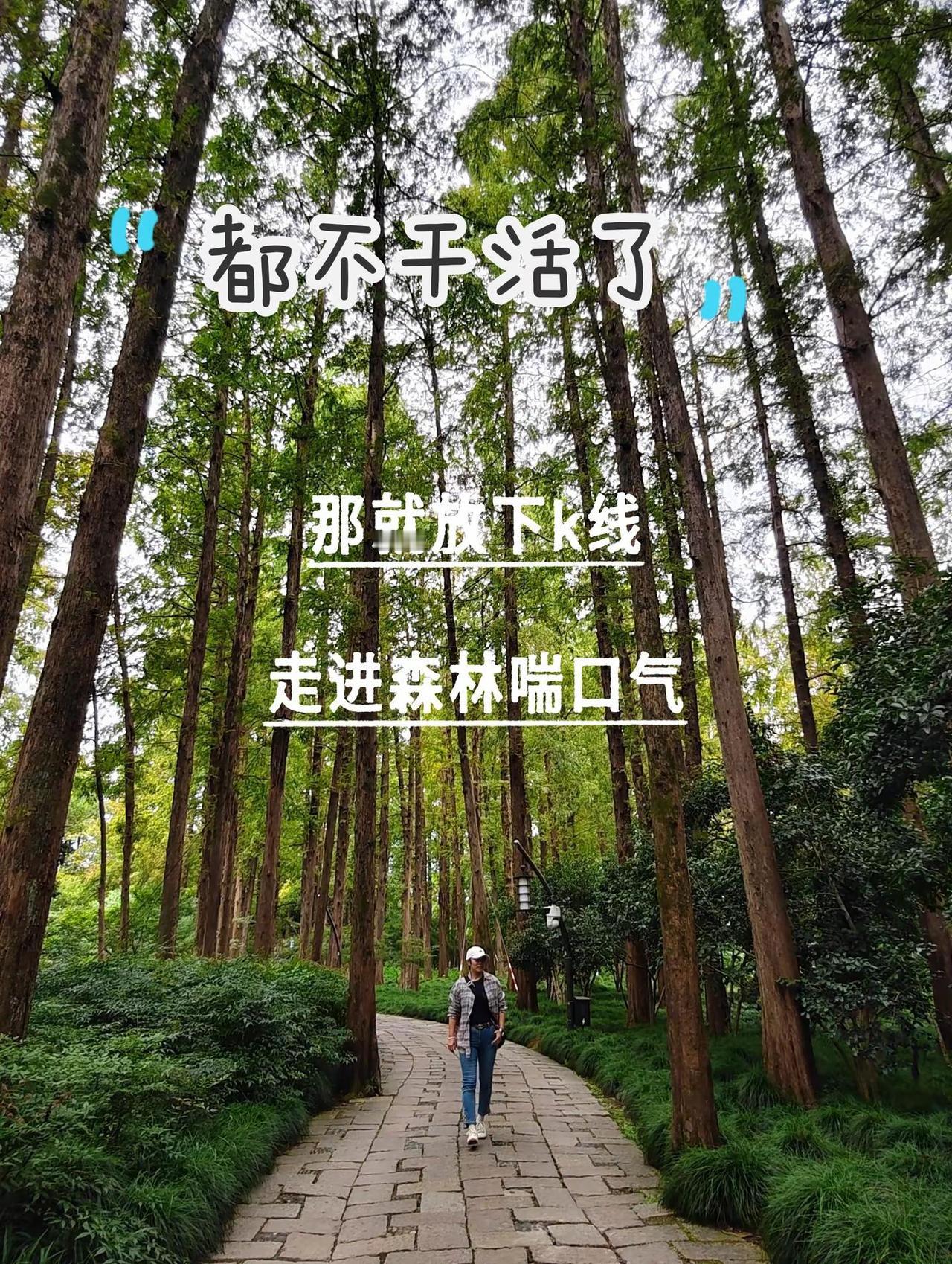 看看就行，别急着动手。每日复盘分析