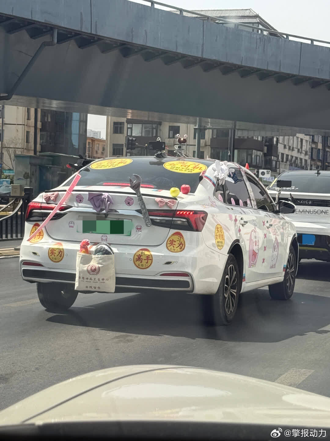 路上偶遇的，好美丽的精神状态！！！ ​​​