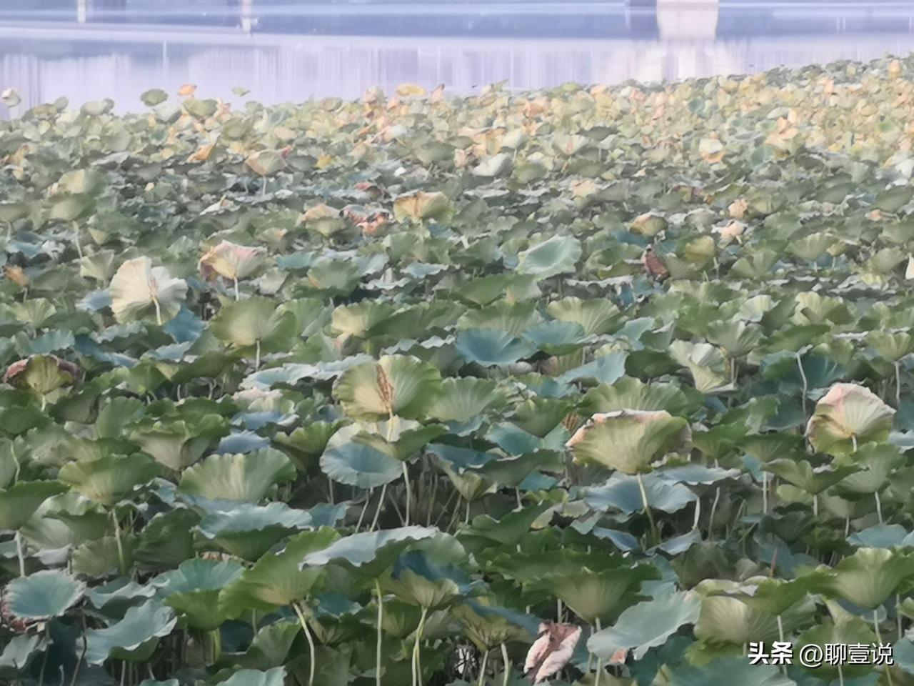 有没有某个瞬间你忽然想问自己，到底怎样才算悟透了人生？
 
很多人误以为，悟透就
