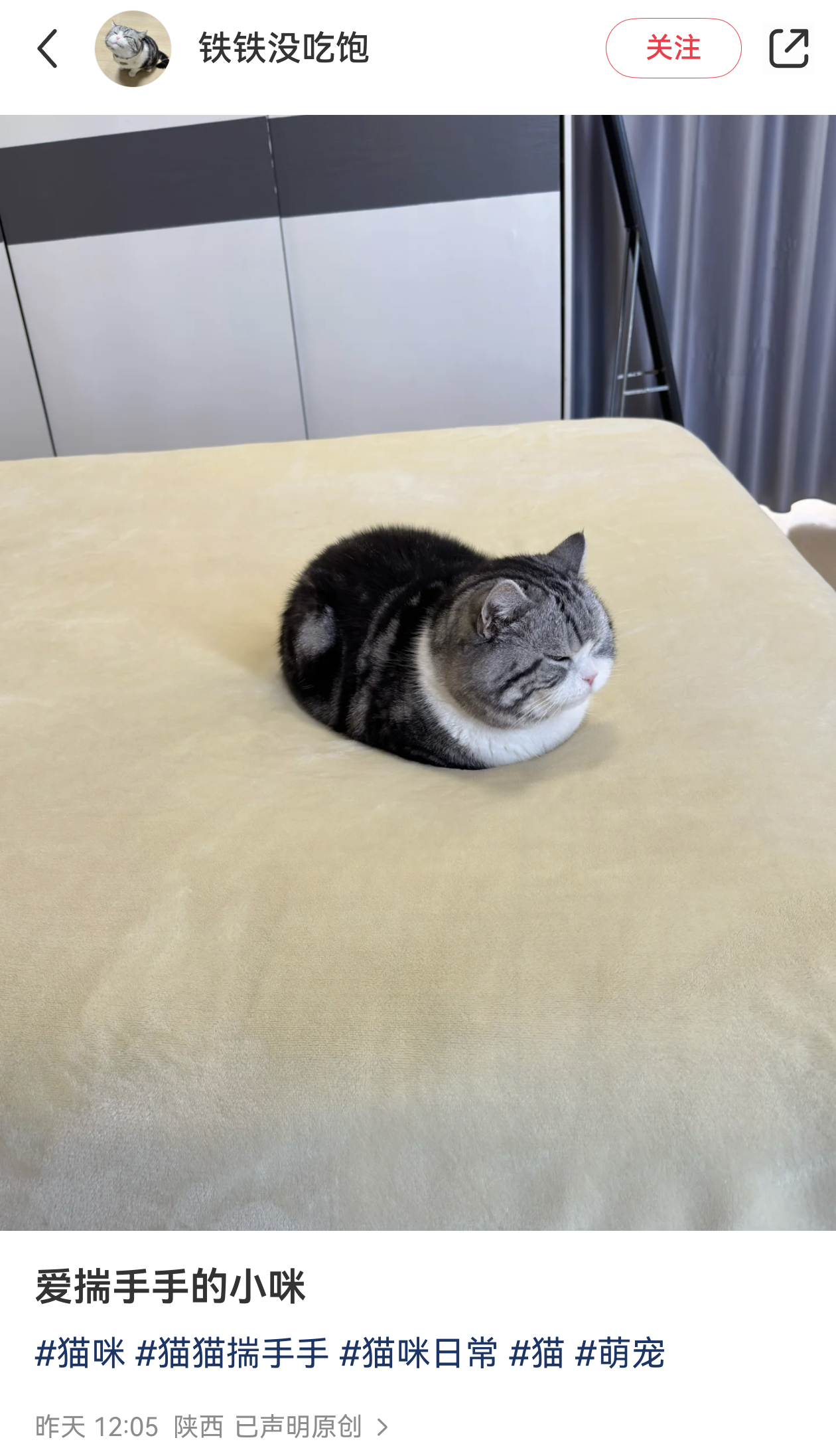 一切都要从小地瓜的一个帖子说起评论里一开始只是恶搞博主家的可爱猫猫然后大家都纷纷