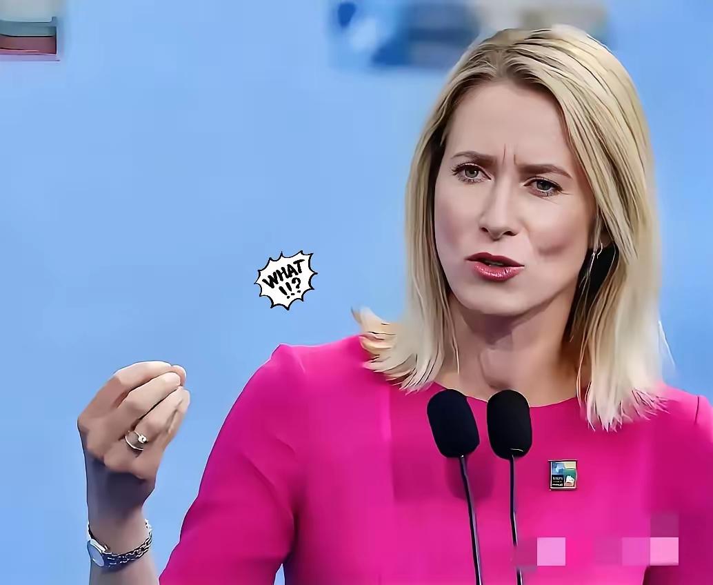 欧州第一傻， 欧盟外长卡拉斯北京时间18日就格陵兰岛事件发声，指责中俄乐见西方内