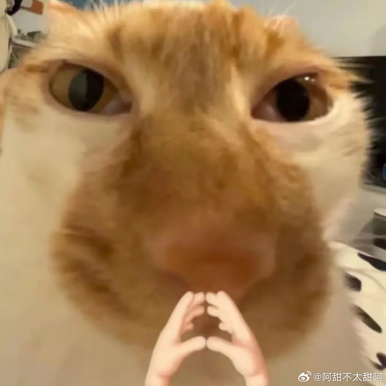 有时候我会删掉自己刚发的东西，因为我的另一个人格不喜欢它。 ​​​