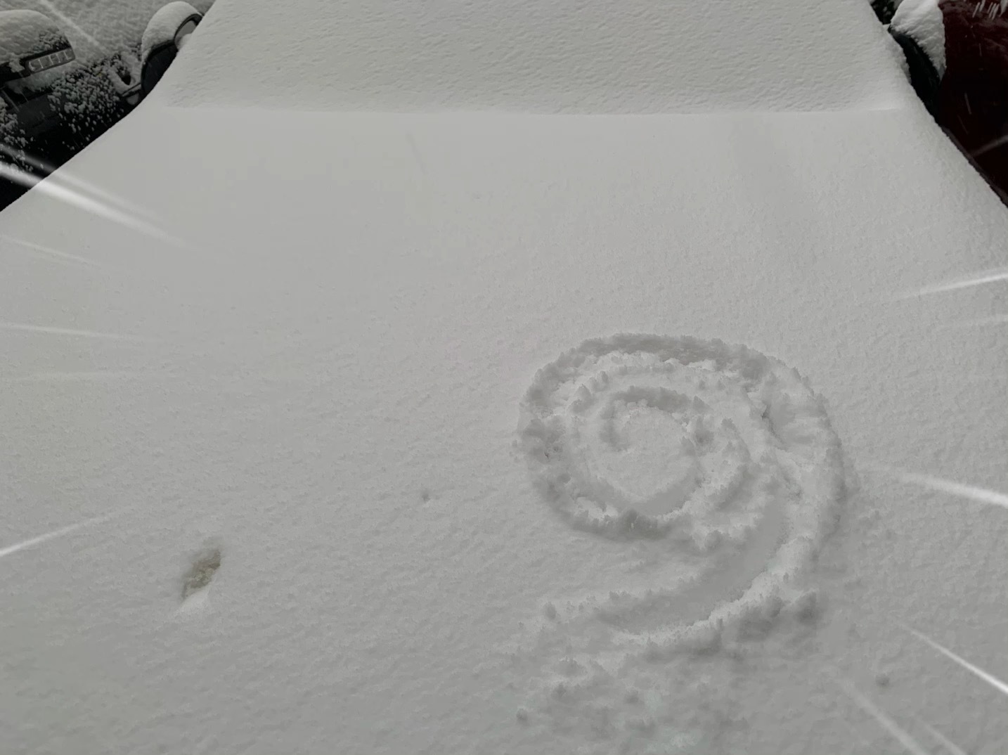 #下雪了# [doge] ​​​